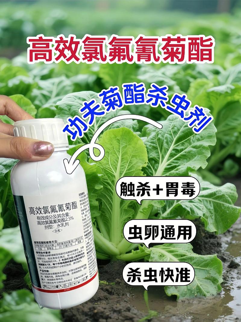 黔江代生中心:农药对供卵代生妈妈的危害